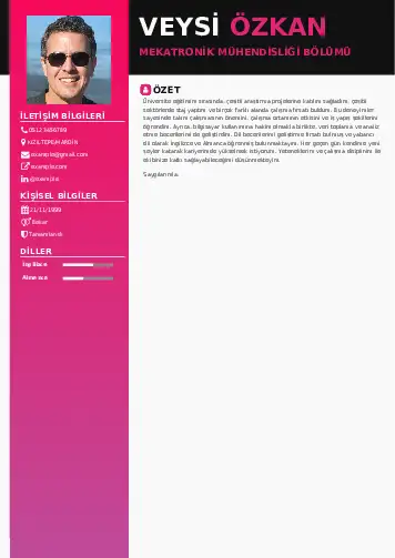 Mekatronik Mühendisliği Cv Örnekleri cv indir